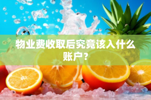 物业费收取后究竟该入什么账户？