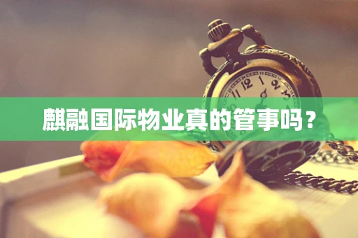麒融国际物业真的管事吗？