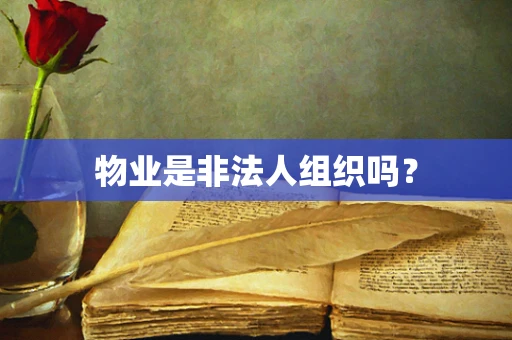 物业是非法人组织吗？