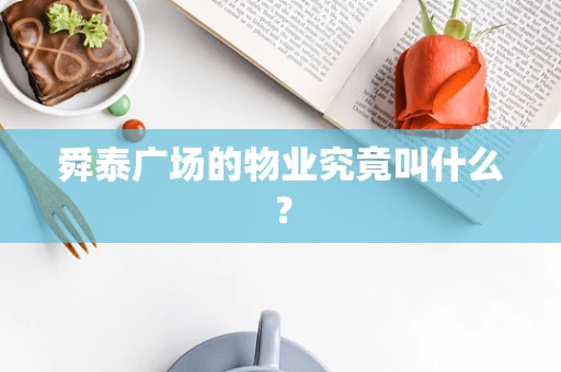 舜泰广场的物业究竟叫什么？