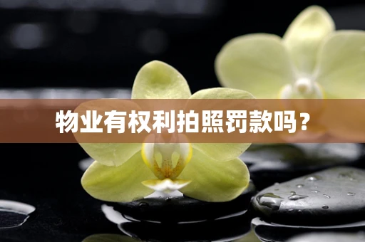 物业有权利拍照罚款吗？