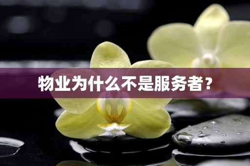 物业为什么不是服务者？