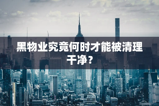 黑物业究竟何时才能被清理干净？