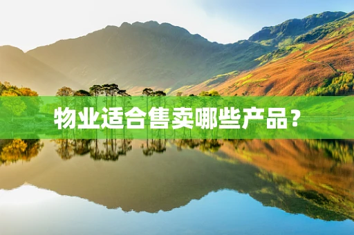 物业适合售卖哪些产品？