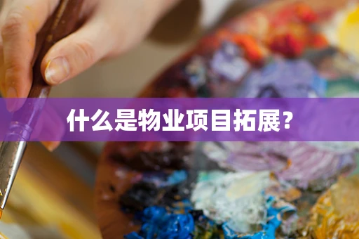 什么是物业项目拓展？