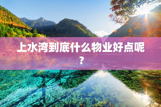 上水湾到底什么物业好点呢？