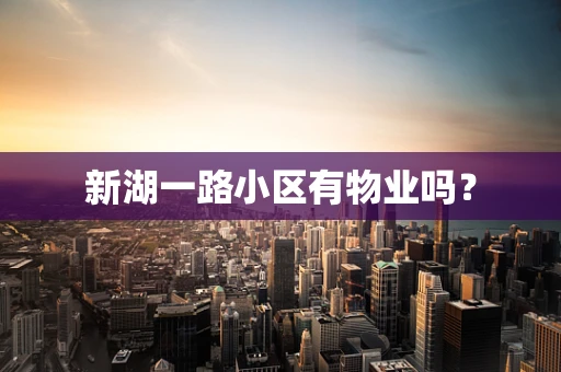 新湖一路小区有物业吗？