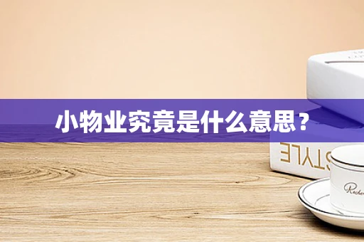 小物业究竟是什么意思？
