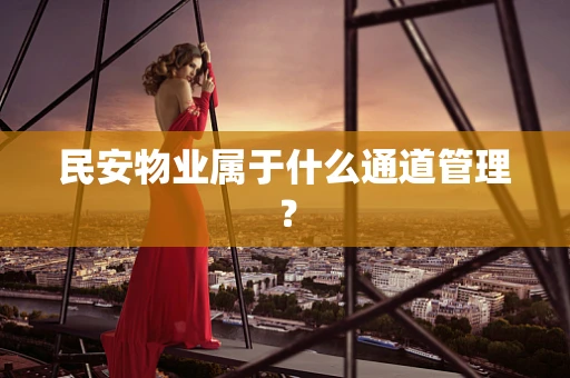 民安物业属于什么通道管理？