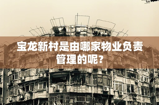 宝龙新村是由哪家物业负责管理的呢？