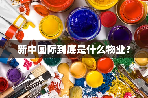 新中国际到底是什么物业？