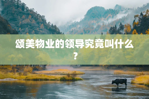 颂美物业的领导究竟叫什么？