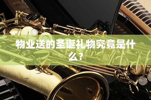 物业送的圣诞礼物究竟是什么？