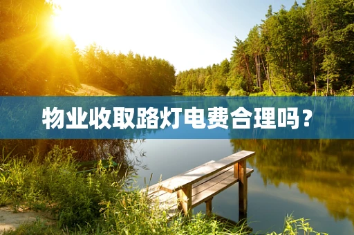 物业收取路灯电费合理吗？