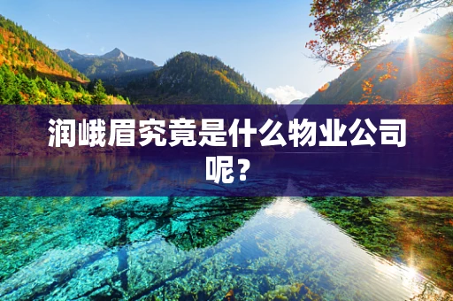润峨眉究竟是什么物业公司呢？
