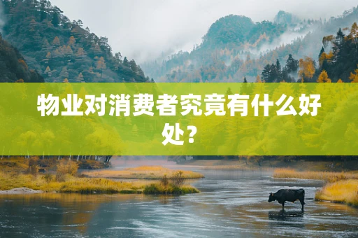 物业对消费者究竟有什么好处？