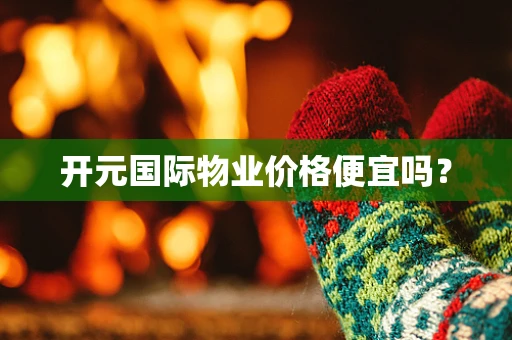开元国际物业价格便宜吗？