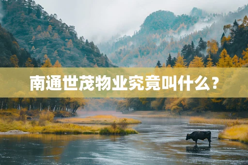 南通世茂物业究竟叫什么？