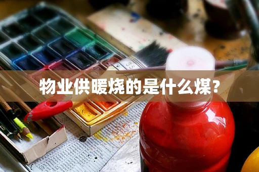 物业供暖烧的是什么煤？