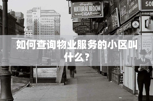 如何查询物业服务的小区叫什么？
