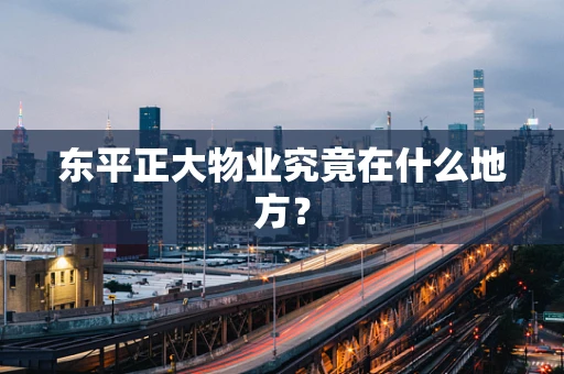东平正大物业究竟在什么地方？