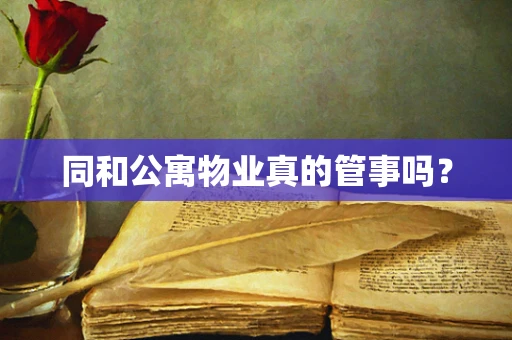 同和公寓物业真的管事吗？