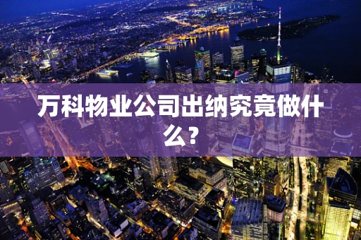 万科物业公司出纳究竟做什么？