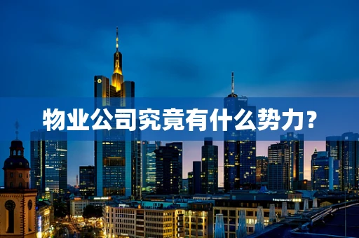 物业公司究竟有什么势力？