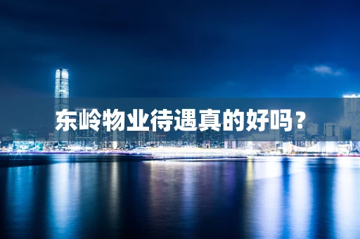 东岭物业待遇真的好吗？