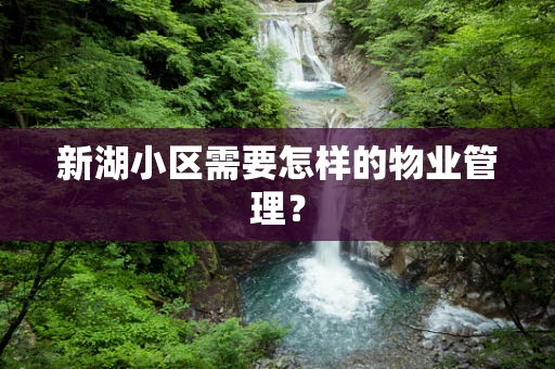 新湖小区需要怎样的物业管理？