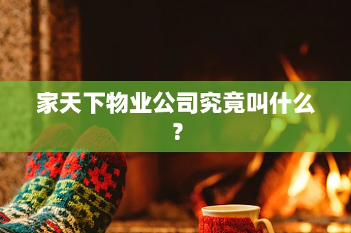 家天下物业公司究竟叫什么？