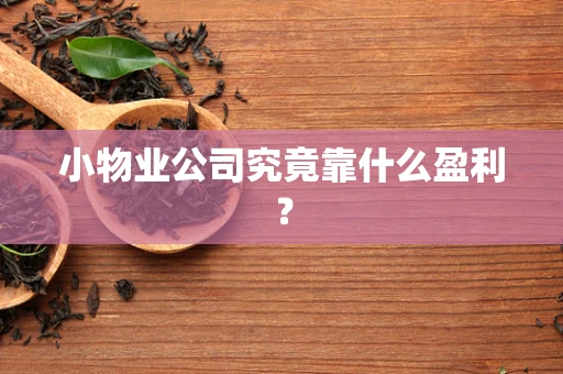 小物业公司究竟靠什么盈利？
