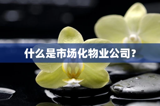 什么是市场化物业公司？