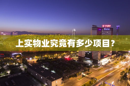 上实物业究竟有多少项目？