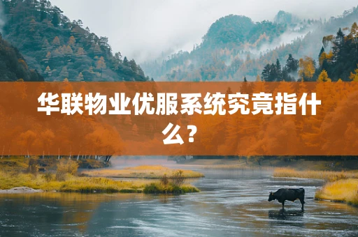 华联物业优服系统究竟指什么？