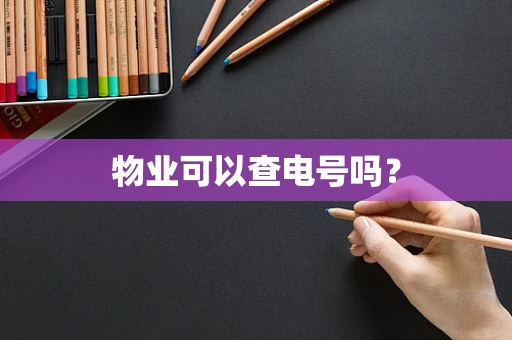 物业可以查电号吗？