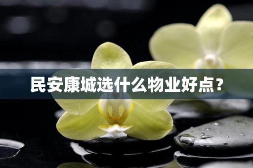 民安康城选什么物业好点？