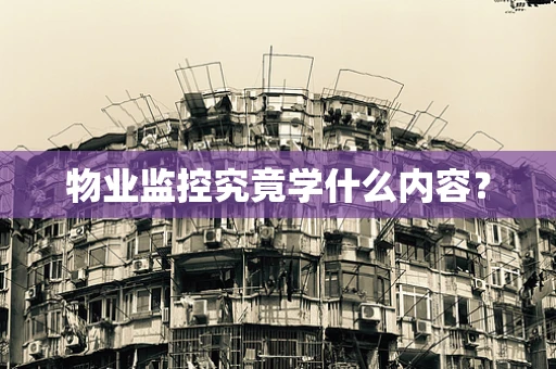 物业监控究竟学什么内容？