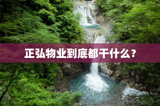 正弘物业到底都干什么？