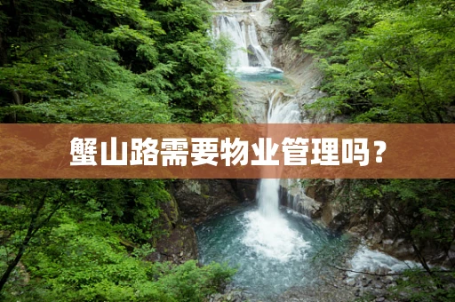 蟹山路需要物业管理吗？