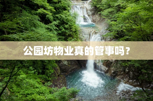 公园坊物业真的管事吗？