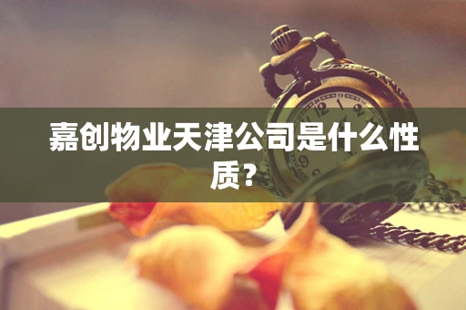 嘉创物业天津公司是什么性质？