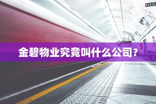 金碧物业究竟叫什么公司？