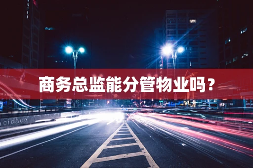 商务总监能分管物业吗？