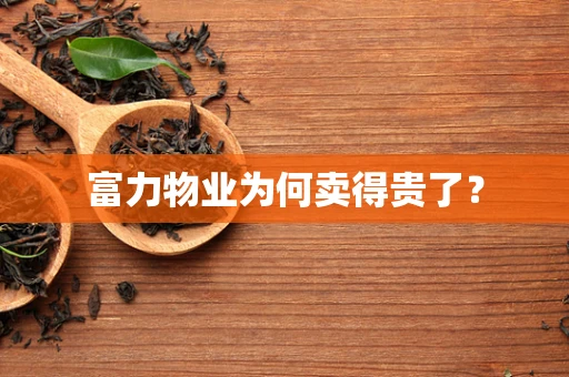 富力物业为何卖得贵了？