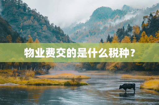 物业费交的是什么税种？