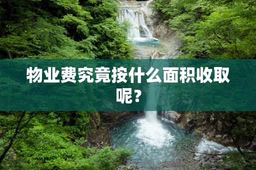 物业费究竟按什么面积收取呢？