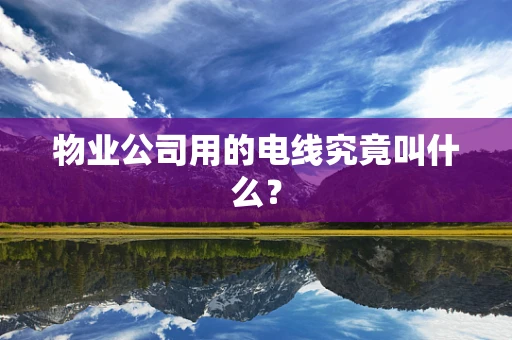 物业公司用的电线究竟叫什么？