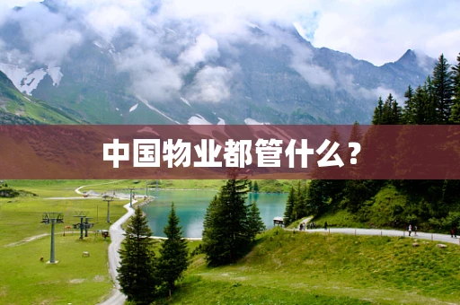 中国物业都管什么？