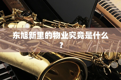 东旭新里的物业究竟是什么？